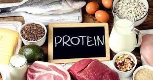 Protein